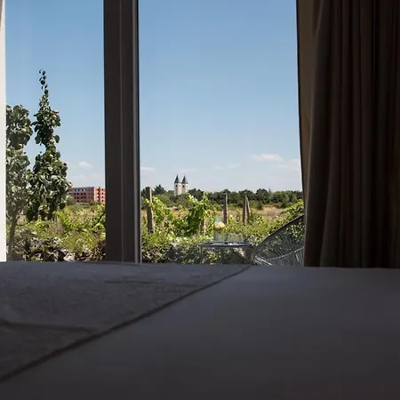 Tiny In Peaceful Part Of דירה Međugorje